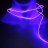 Nightsnake